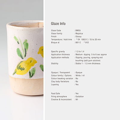 Sara Low Fire Majolica Glossy White BM05 Sara Low Fire Majolica Glossy White BM05