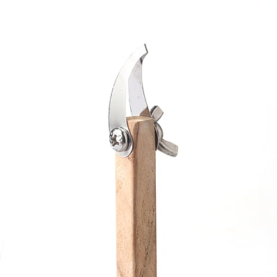 Sara Carving Core Eagle Claw Tip 6mm